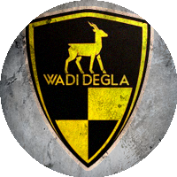 Logo Wadi Degla Football Club