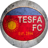 Logo Tesfa FC