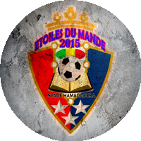 Logo Académie Étoiles du Mandé