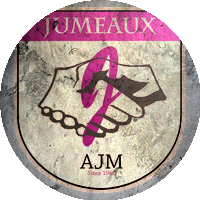 Logo Association Sportive Jumeaux de M'zouasia