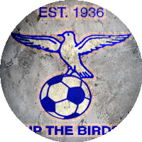 Logo Blue Waters SC