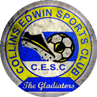 Logo Collins Edwin S.C.