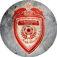 Logo Association Sportive Les Marsouins