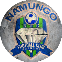 Logo Namungo FC