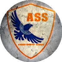 Logo Avenir Sportif de Soukra