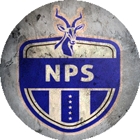 Logo Ngezi Platinum Stars FC