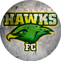 Logo Mt Gravatt Hawks