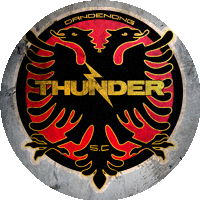 Logo Dandenong Thunder FC
