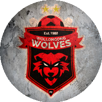 Logo Wollongong Wolves