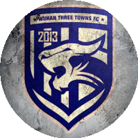 Logo Wuhan Three Towns
