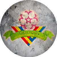 Logo Shenzhen Bogang