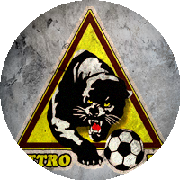 Logo Persatuan Sepak Bola Kabupaten Malang Metro FC