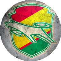 JEF United Ichihara Chiba