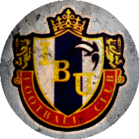 Logo International Budo University