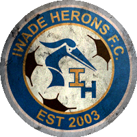 Logo Iwade FC Azul