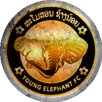 Logo Young Elephant Football Club