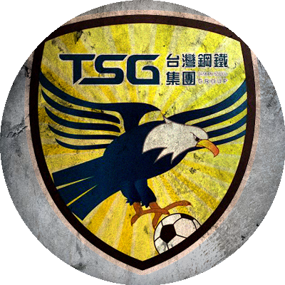 Logo Tainan City Taiwan Steel Group