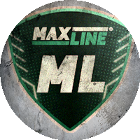 Logo BK Maxline Rogachev