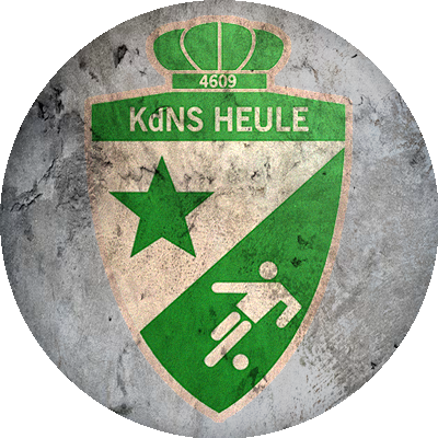Logo De Noordstar Heule