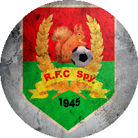 Logo RFC Spy