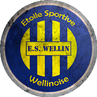 Logo Etoile Sportive Wellinoise