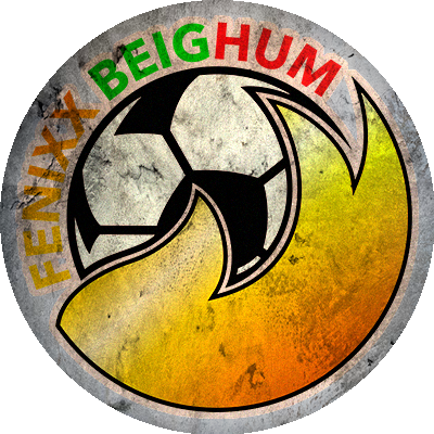 Logo Fenixx Beigem-Humbeek
