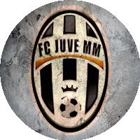 Logo Jong Vijve