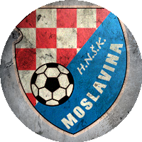 Logo HNŠK Moslavina