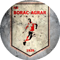 Logo NK Borac Bobota