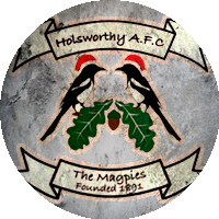 Logo Holsworthy