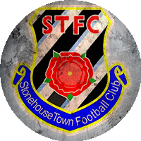 Logo Stonehouse Town