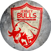 Logo Jersey Bulls