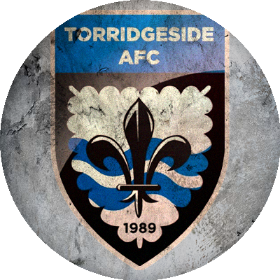 Logo Torridgeside