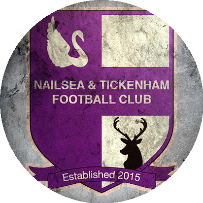 Logo Nailsea & Tickenham