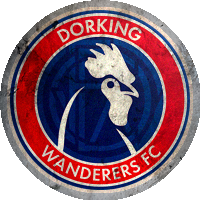 Logo Dorking Wanderers