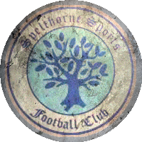 Logo Spelthorne Sports