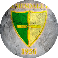 Logo Holmesdale