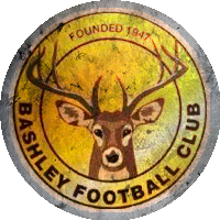 Logo Bashley