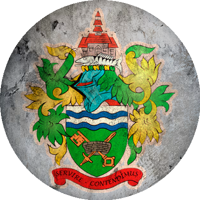 Logo Chertsey Town