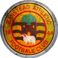 Logo Banstead Athletic