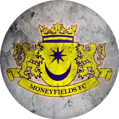 Logo Moneyfields