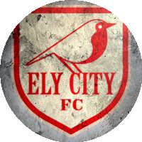 Logo Ely City