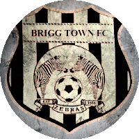 Logo Brigg Town