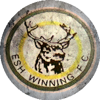 Logo Esh Winning