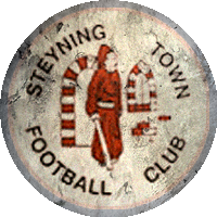Logo Steyning Town Community