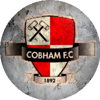 Logo Cobham