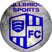 Logo Hullbridge Sports