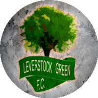 Logo Leverstock Green