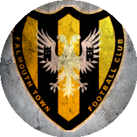 Logo Falmouth Town