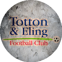 Logo Totton & Eling